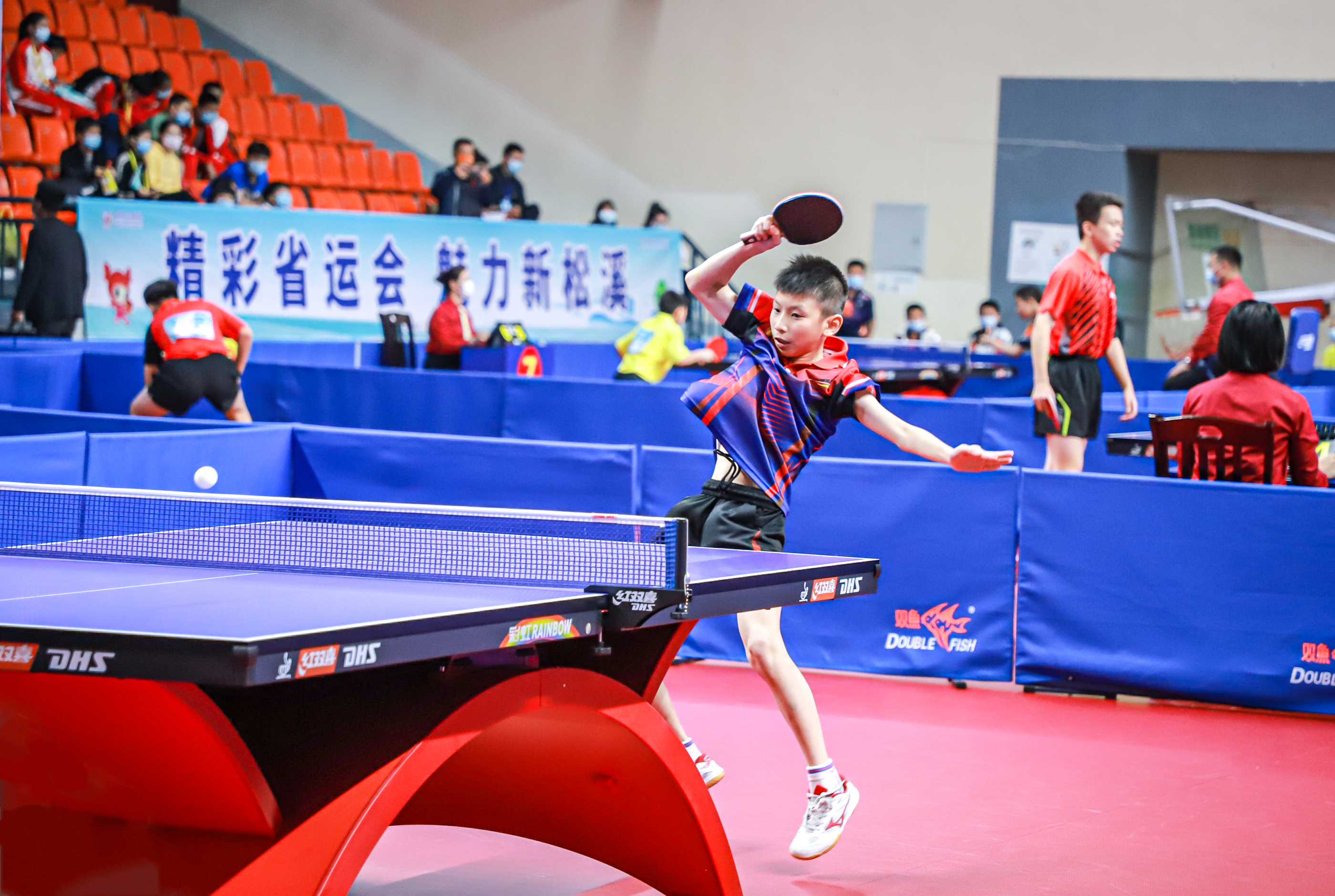 方式支持体 方式支持体